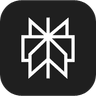 Perplexity logo